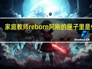 家庭教师reborn阿刚的匣子里是什么