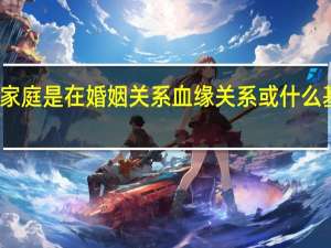 家庭是在婚姻关系血缘关系或什么基础上