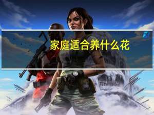 家庭适合养什么花