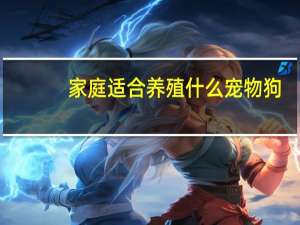 家庭适合养殖什么宠物狗