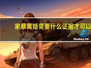 家暴离婚需要什么证据才可以