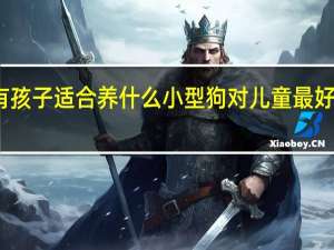 家有孩子适合养什么小型狗对儿童最好的小型犬
