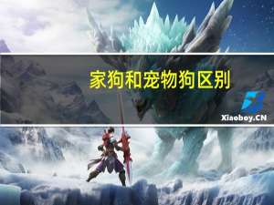 家狗和宠物狗区别
