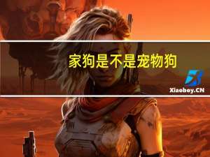 家狗是不是宠物狗