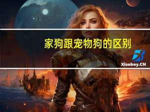 家狗跟宠物狗的区别