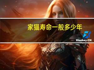 家猫寿命一般多少年