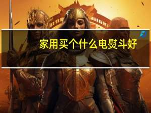 家用买个什么电熨斗好