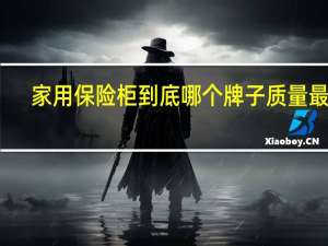 家用保险柜到底哪个牌子质量最好