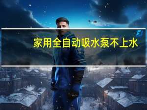 家用全自动吸水泵不上水
