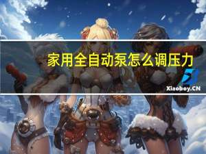 家用全自动泵怎么调压力