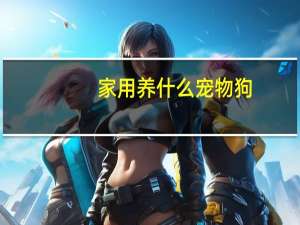 家用养什么宠物狗