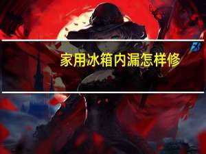家用冰箱内漏怎样修