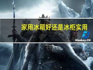 家用冰箱好还是冰柜实用