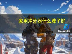 家用冲牙器什么牌子好