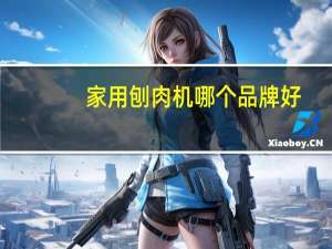 家用刨肉机哪个品牌好