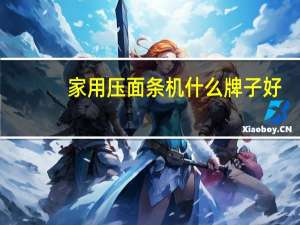 家用压面条机什么牌子好