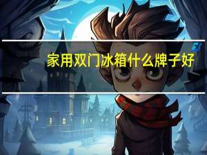 家用双门冰箱什么牌子好