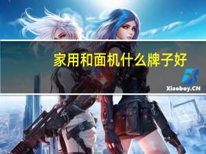 家用和面机什么牌子好