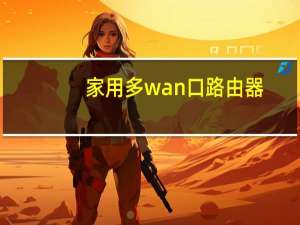 家用多wan口路由器