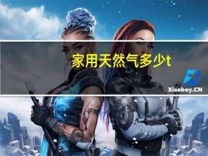 家用天然气多少t