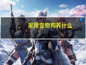家用宠物狗养什么