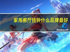 家用客厅挂钟什么品牌最好
