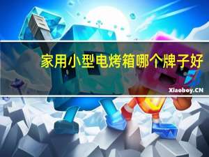 家用小型电烤箱哪个牌子好