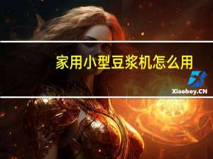 家用小型豆浆机怎么用