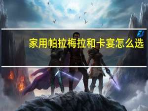 家用帕拉梅拉和卡宴怎么选