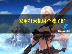 家用打米机哪个牌子好