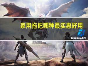 家用拖把哪种最实惠好用
