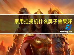 家用挂烫机什么牌子效果好
