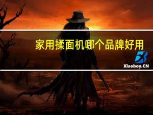 家用揉面机哪个品牌好用