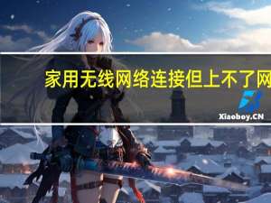 家用无线网络连接但上不了网