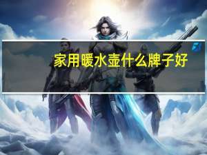 家用暖水壶什么牌子好
