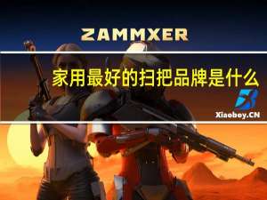 家用最好的扫把品牌是什么