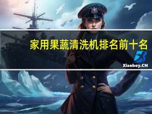 家用果蔬清洗机排名前十名