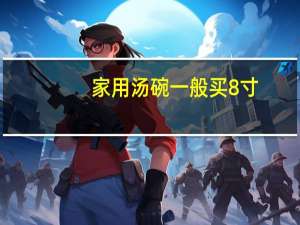家用汤碗一般买8寸