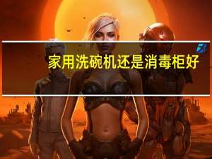 家用洗碗机还是消毒柜好