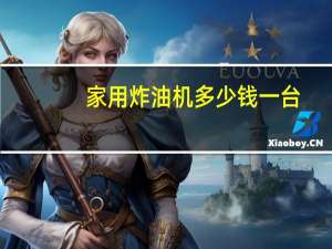 家用炸油机多少钱一台