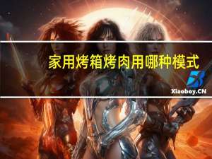 家用烤箱烤肉用哪种模式
