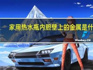 家用热水瓶内胆壁上的金属是什么