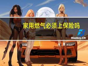 家用燃气必须上保险吗