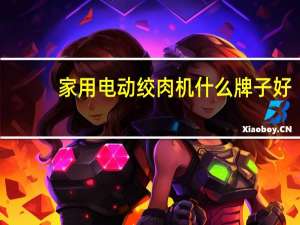 家用电动绞肉机什么牌子好