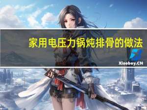 家用电压力锅炖排骨的做法