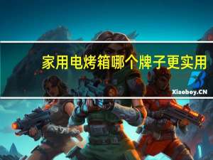 家用电烤箱哪个牌子更实用