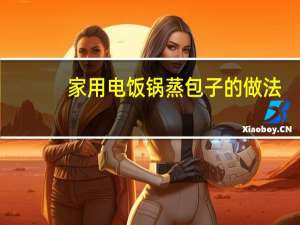家用电饭锅蒸包子的做法