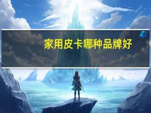 家用皮卡哪种品牌好