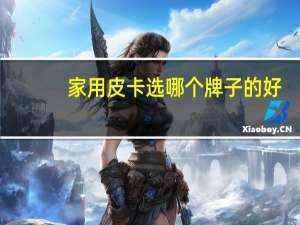 家用皮卡选哪个牌子的好