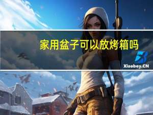 家用盆子可以放烤箱吗